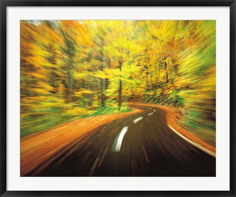 Framed Highway amidst forest Print