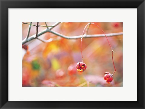 Framed Thin Tree Branch with Bud Print