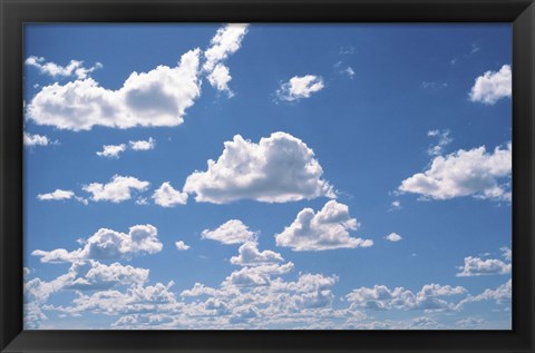 Framed Cumulus Clouds Print