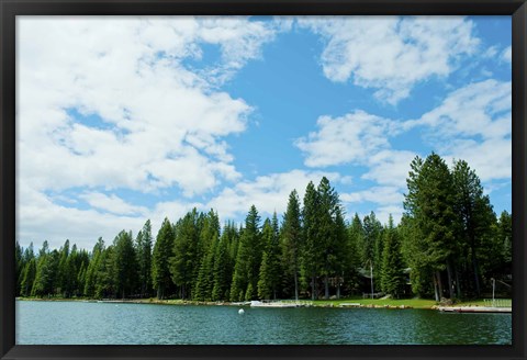 Framed Trees along bank of Lake Almanor, California, USA Print