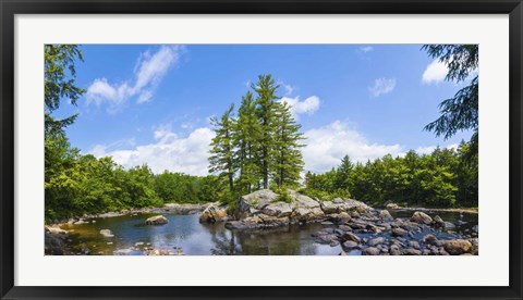 Framed Trees and rocks, Moose River, New York State Print