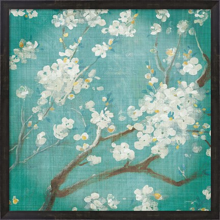 Framed White Cherry Blossoms I on Blue Aged No Bird Print