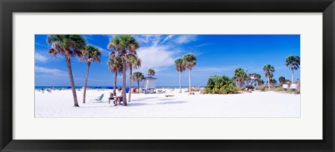 Framed Palm trees on the beach, Siesta Key, Gulf of Mexico, Florida, USA Print