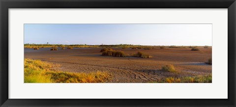 Framed Grass on a dry land, Black Point Wildlife Drive, Merritt Island National Wildlife Refuge, Titusville, Florida, USA Print