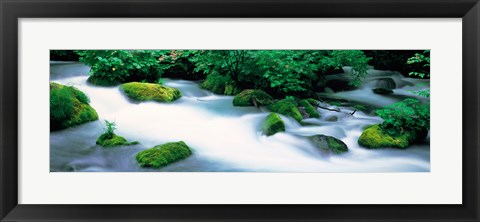 Framed Fog in Oirase ravine Aomori Towadako-cho Japan Print