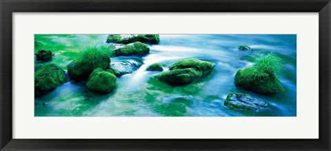 Framed Rocks with Moss, Oirase ravine Aomori Towadako-cho Japan Print