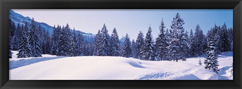 Framed Snowy Field &amp; Trees Oberjoch Germany Print