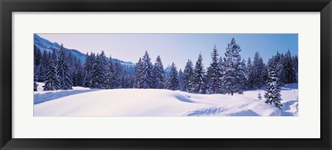 Framed Snowy Field &amp; Trees Oberjoch Germany Print