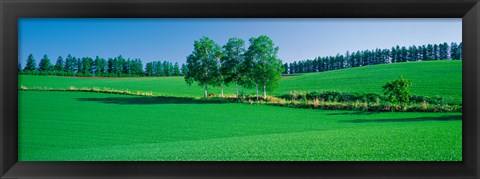 Framed Biei-Cho Hokkaido Japan Print