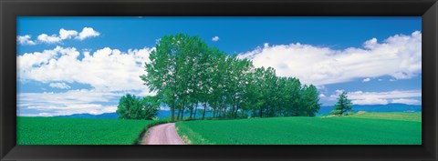 Framed Dirt Road through Fields, Biei-Cho Hokkaido Japan Print