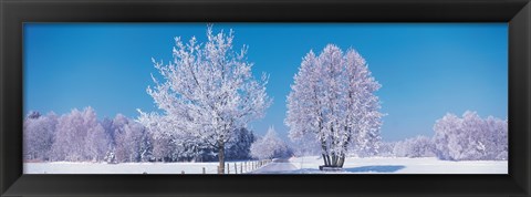 Framed Winter scenic Germany Print