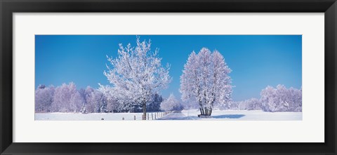 Framed Winter scenic Germany Print