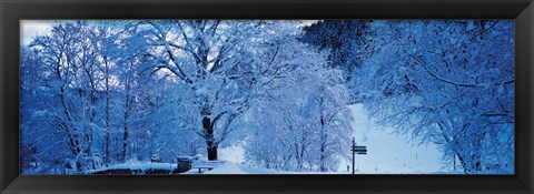 Framed Snow Covered Trees, Ramsau Germany Print