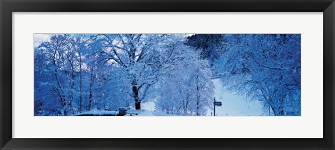 Framed Snow Covered Trees, Ramsau Germany Print