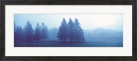 Framed Misty forest Quebec Canada Print