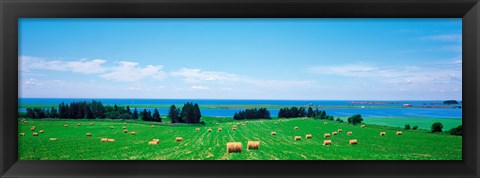 Framed Farm field Prince Isl Canada Print