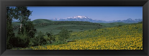 Framed Fields Humboldt National Forest NV USA Print