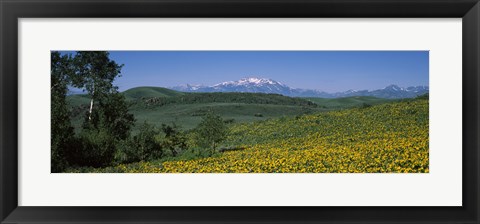 Framed Fields Humboldt National Forest NV USA Print