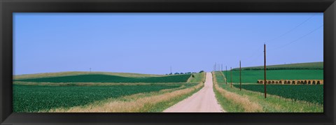 Framed Road along fields, Minnesota, USA Print