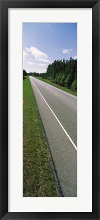 Framed Trees along the road, Alabama State Route 113, Alabama, USA Print