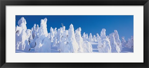 Framed Snow Covered Trees, Zao Yamagata Japan Print