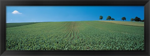 Framed France, Alsace Print