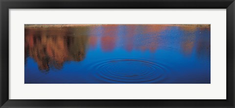 Framed Trees Reflecting in the Water, Laurentide, Quebec, Canada Print