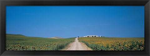 Framed Unpaved road Andalucia Spain Print