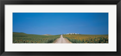 Framed Unpaved road Andalucia Spain Print