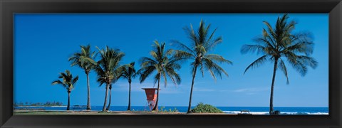 Framed Palm trees Oahu HI USA Print