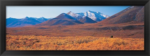 Framed Yukon Territory Canada Print