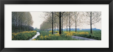 Framed Dordrecht Holland Netherlands Print