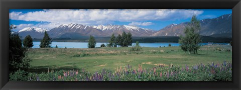 Framed Tekapo Lake South Island New Zealand Print