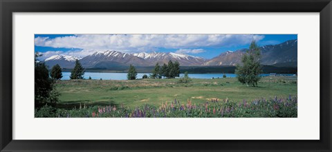 Framed Tekapo Lake South Island New Zealand Print