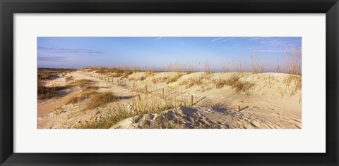 Framed Sand dunes on the beach, Anastasia State Recreation Area, St. Augustine, St. Johns County, Florida, USA Print