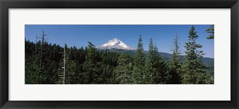 Framed Trees in a forest with mountain in the background, Mt Hood National Forest, Hood River County, Oregon, USA Print