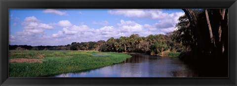 Framed Reflection of clouds in a river, Myakka River, Myakka River State Park, Sarasota County, Florida, USA Print