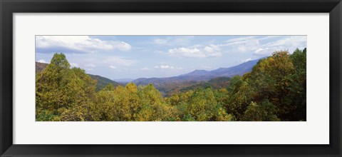 Framed View from River Road, Great Smoky Mountains National Park, North Carolina, Tennessee, USA Print