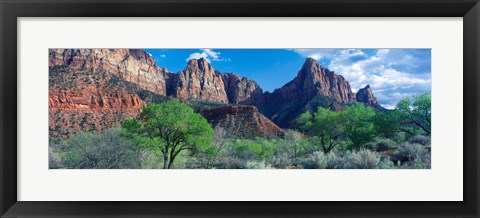 Framed Cottonwood trees and The Watchman, Zion National Park, Utah, USA Print