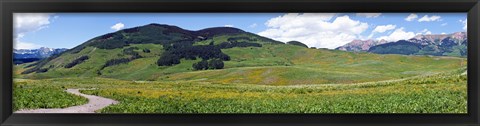 Framed Looking west from Gothic Road just north of Mount Crested Butte, Gunnison County, Colorado, USA Print