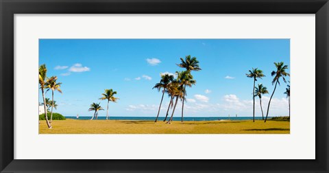 Framed Palm trees on the beach, Lauderdale, Florida, USA Print