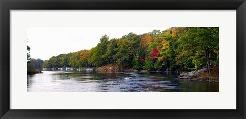 Framed Trees at the Riverside, Musquash River, Muskoka, Ontario, Canada Print