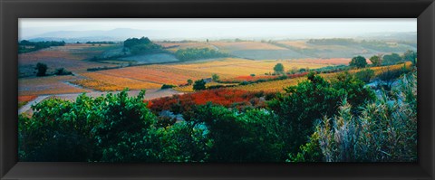 Framed Autumn Colors, Provence-Alpes-Cote d&#39;Azur, France Print