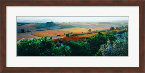 Framed Autumn Colors, Provence-Alpes-Cote d&#39;Azur, France Print