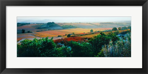 Framed Autumn Colors, Provence-Alpes-Cote d&#39;Azur, France Print