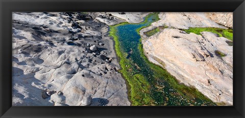 Framed Point Lobos State Reserve, Carmel, Monterey County, California Print