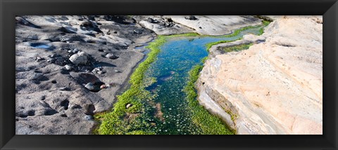 Framed Stream flowing through a rocky landscape, Point Lobos State Reserve, Carmel, Monterey County, California Print