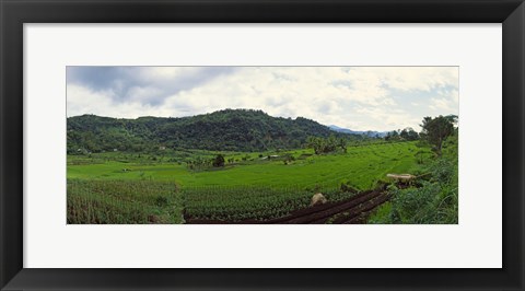 Framed Terraced rice field, Indonesia Print