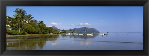 Framed Palm trees at a coast, Kaneohe Bay, Oahu, Hawaii, USA Print