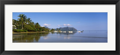 Framed Palm trees at a coast, Kaneohe Bay, Oahu, Hawaii, USA Print